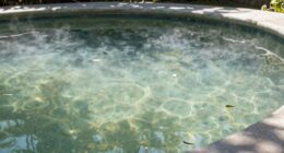 neglected initial filtration issue