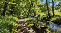 outdoor activity boosts weekends