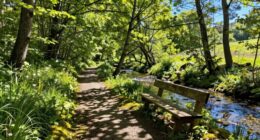 outdoor activity boosts weekends