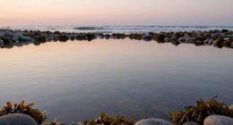 peaceful anticipation before immersion