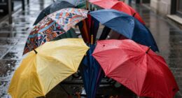 preparation enhances umbrella effectiveness