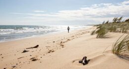 unexpected joy of spring