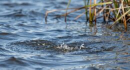 wind awareness enhances water sessions