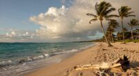 wind shifts spoil beach relaxation