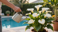 Calla Lily Care Guide: Discover the Secrets to Growing Gorgeous Tropical Bulbs for a Stunning Summer Display