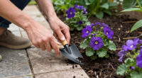 10 Ravishing Purple Flowers To Grow For The Most Beautiful Garden Borders Of All Time – Get Ready To Swoon!