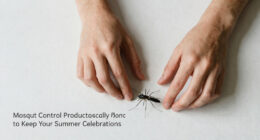 7 Mosquito Control Products That Actually Work to Keep Your Summer Celebrations Itch-Free