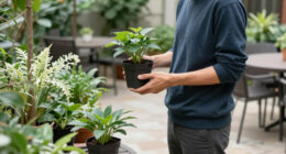 Can You Take Garden Plants With You When You Move? A Lawyer Explains The Do's And Don'ts To Avoid Legal Trouble