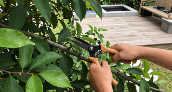 Fielding Tree Care Surges In Global Coverage