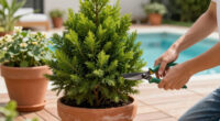Gardeners Are Obsessed With This Striking Evergreen Perennial – And It’s Easy To See Why