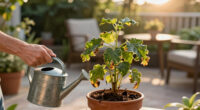 Plants Suddenly Flopping? How To Tell The Difference Between Heat Stress And Something More Sinister