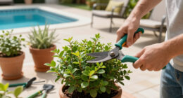 August Is Your Last Chance To Prune These 6 Plants Before It's Too Late For Next Year