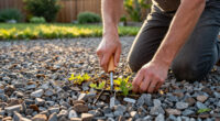 Get Rid Of All The Weeds In Your Gravel Driveway In No Time With This Clever Amazon Find For Under $10