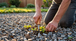 Get Rid Of All The Weeds In Your Gravel Driveway In No Time With This Clever Amazon Find For Under $10