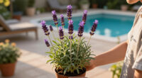Meet The Lavender Dupe With Triple The Bloom Time And No Woody Stems – It’s Set To Become A Garden Classic