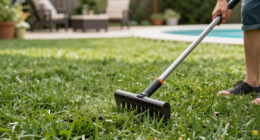 Scarifier Vs Dethatcher: Experts Explain The Difference And Which One You Should Use On Your Lawn
