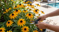 These Black-Eyed Susan Varieties Flower Even Longer Than Goldsturm For Bonny Blooms All Through Fall