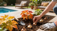 10 Foolproof Plants That Are Far Cheaper In Fall – Fill Up Your Yard For Years Of Beautiful Blooms