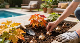 10 Foolproof Plants That Are Far Cheaper In Fall – Fill Up Your Yard For Years Of Beautiful Blooms