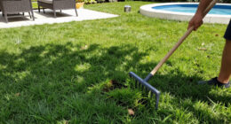 5 Healing Lawn Care Tasks To Revive And Repair Grass After Summer Heat – Get These Fixes Done Before September Ends