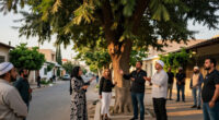 Cairo Governorate Denies Cutting Ancient Tree In Maadi
