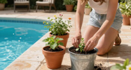 Dakota Johnson’s Container Garden Idea Is Deceptively Simple – And It Works Anywhere