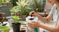 Deal Of The Week: Walmart Just Slashed The Price Of This Bestselling Potting Mix