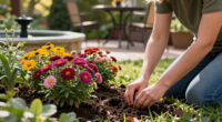 Every Garden Needs One Autumn Plant Bees & Butterflies Can’t Resist – Grow These 5 Pollinator Magnets For An Unforgettable Fall Feast