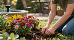 Every Garden Needs One Autumn Plant Bees & Butterflies Can’t Resist – Grow These 5 Pollinator Magnets For An Unforgettable Fall Feast
