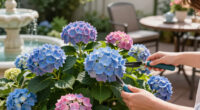 Is Your Hydrangea A Lazy Bloomer? 6 Easy September Fixes To Unlock A Gorgeous Comeback Next Year