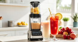 Keep Your Ninja SLUSHi Max XXL Fresh & Ready for Summer Fun