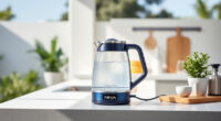 Ninja KT200BL Precision Temp Electric Kettle: Perfect Summer Sips