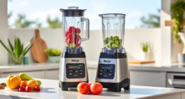 Summer Care Guide for the Ninja Professional Blender (Ninja BL610)