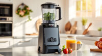 Summer Care & Troubleshooting for the Ninja BN805A Pro Plus Kitchen System