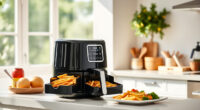 Summer Care & Troubleshooting for the Ninja DoubleStack XL Air Fryer