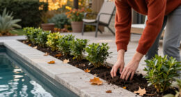 Want More Privacy Next Year? Plant These 6 Beautiful Hedges This Fall For Natural Screening From Prying Eyes