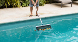 15 Best Swimming Pool Leaf Skimmers for Easier Pool Cleanup in 2027