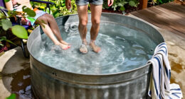 3 Best Stock Tank Pools in 2027