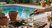 5 Plants You Can Propagate So Easily With A Cutting In October, Even If You’re A Beginner Gardener