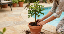 6 Compact Trees That Will Attract Birds To Your Garden