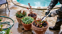 9 Garden Tasks To Do Before The First Hard Freeze