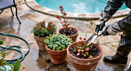 9 Garden Tasks To Do Before The First Hard Freeze