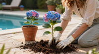9 Gorgeous Hydrangeas To Plant This Fall For Blooms Next Summer