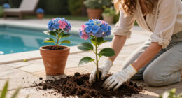 9 Gorgeous Hydrangeas To Plant This Fall For Blooms Next Summer