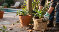 Do These 3 Things To Protect Your Container Plants Before The First Frost, Says My Professional Gardener Husband
