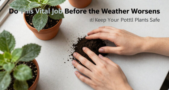 Do This Vital Job Before The Weather Worsens To Keep Your Potted Plants Safe, Urge Garden Pros