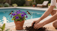 Hummingbirds Love These Purple Fall Flowers – Plant Them Now For More Backyard Visitors