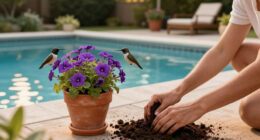 Hummingbirds Love These Purple Fall Flowers – Plant Them Now For More Backyard Visitors