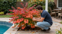 Instead Of Burning Bush, Grow This Native Shrub – It Has Gorgeous Fall Color And Supports Wildlife