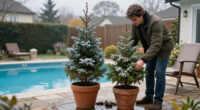 Should You Leave Potted Plants Outdoors In The Winter?